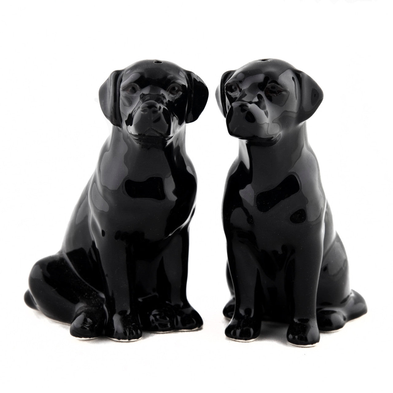 Salt & Pepper Shaker (Multiple Styles)