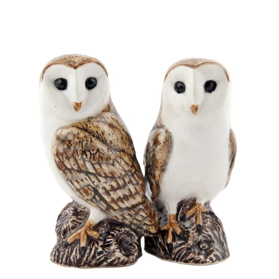 Salt & Pepper Shaker (Multiple Styles)