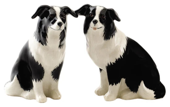 Salt & Pepper Shaker (Multiple Styles)