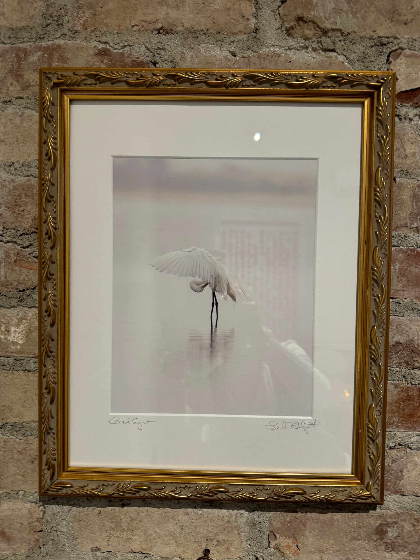 Sarah Blodgett 12.5" x 15.5" Egret Photograph