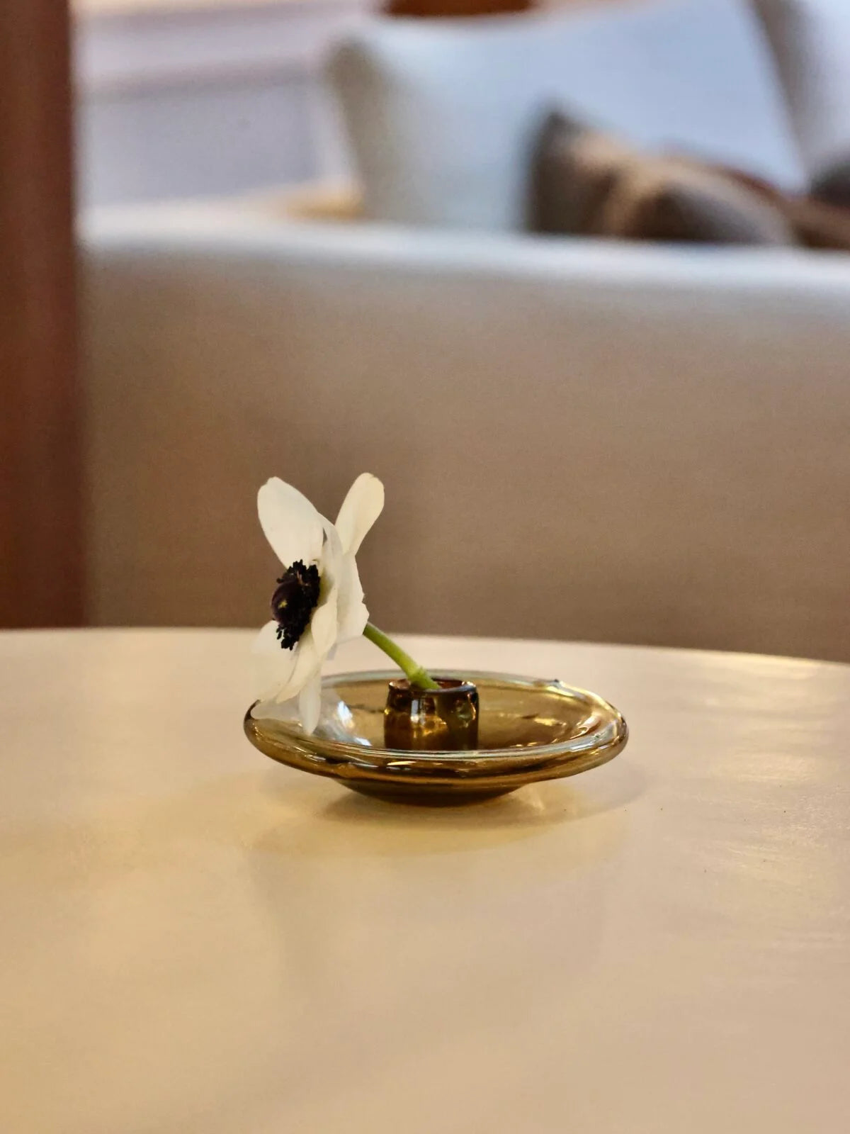 Incense Holder Transparent (Multiple Colors)