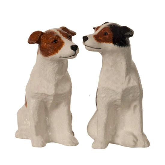 Salt & Pepper Shaker (Multiple Styles)