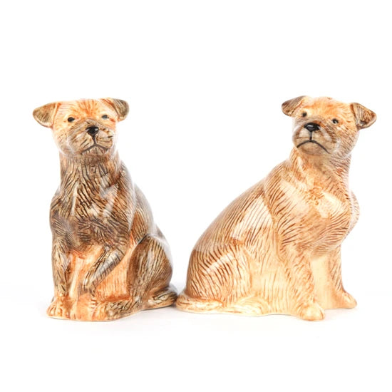 Salt & Pepper Shaker (Multiple Styles)