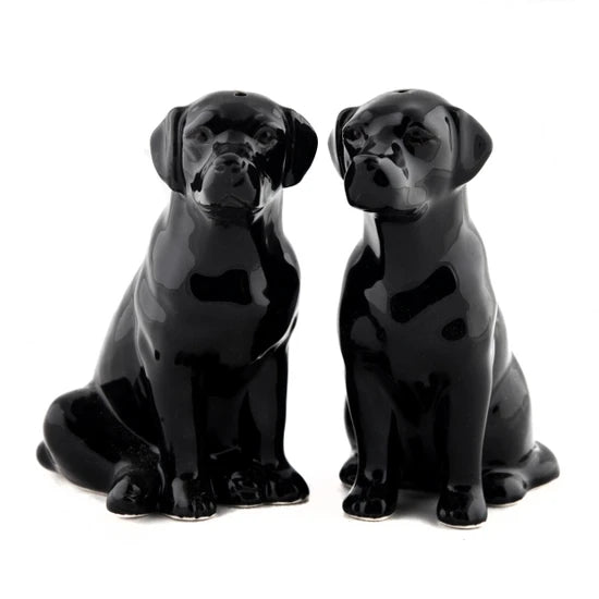 Salt & Pepper Shaker (Multiple Styles)