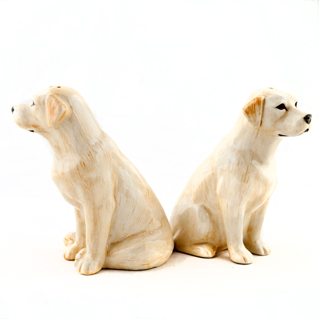Salt & Pepper Shaker (Multiple Styles)