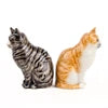 Salt & Pepper Shaker (Multiple Styles)