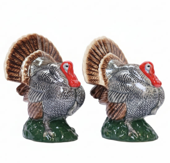 Salt & Pepper Shaker (Multiple Styles)